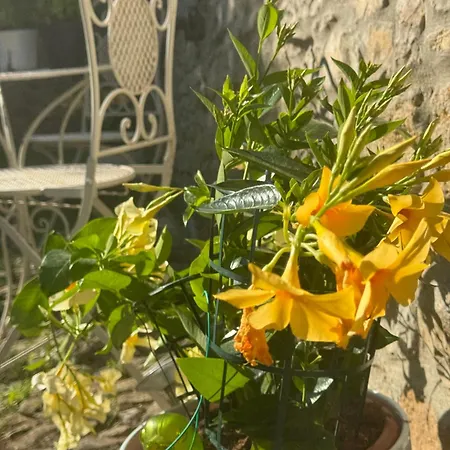 Apartment Residenza Grimerio Piano Primo