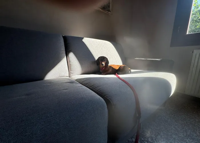 Residenza Grimerio Piano Primo * CastellʼArquato