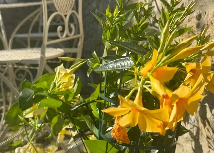 Lejlighed Residenza Grimerio Piano Primo